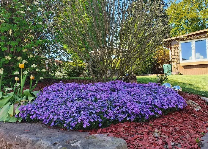 Διαμέρισμα Mein Seeburg